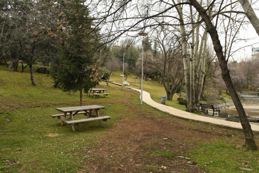 Ankara'da Botanik Park Grafitiyle Renklendi