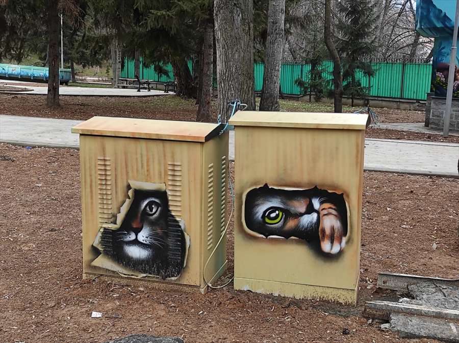 Ankara'da Botanik Park Grafitiyle Renklendi