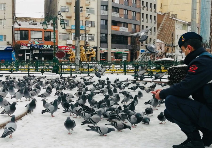 Eskişehir'de Sokak Hayvanları Kısıtlamada Unutulmadı