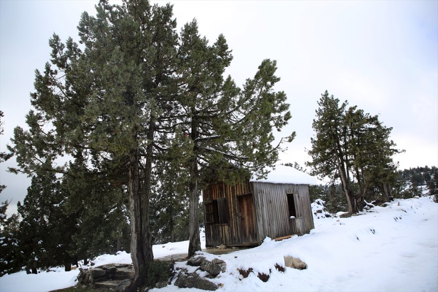 Mersin'in Yüksek Kesimleri Beyaza Büründü