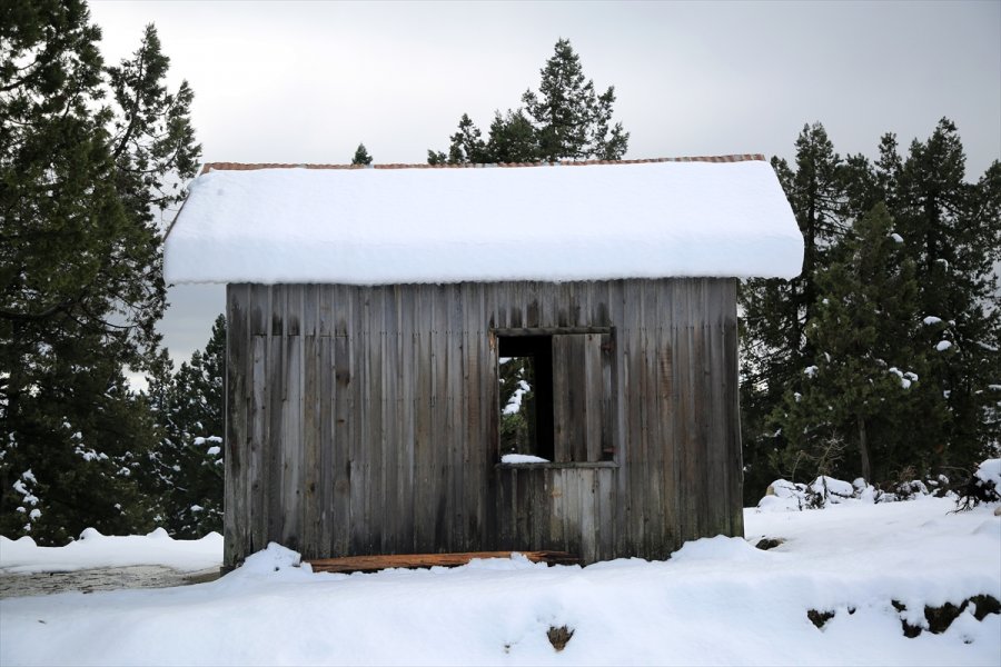 Mersin'in Yüksek Kesimleri Beyaza Büründü