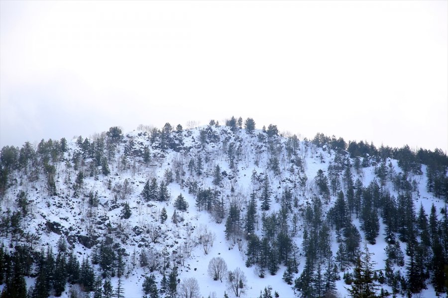 Mersin'in Yüksek Kesimleri Beyaza Büründü