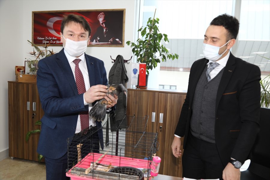Ankara'da Zabıta Personeli, Evinin Bahçesinde Bulduğu Güvercin Yavrusuna Sahip Çıktı