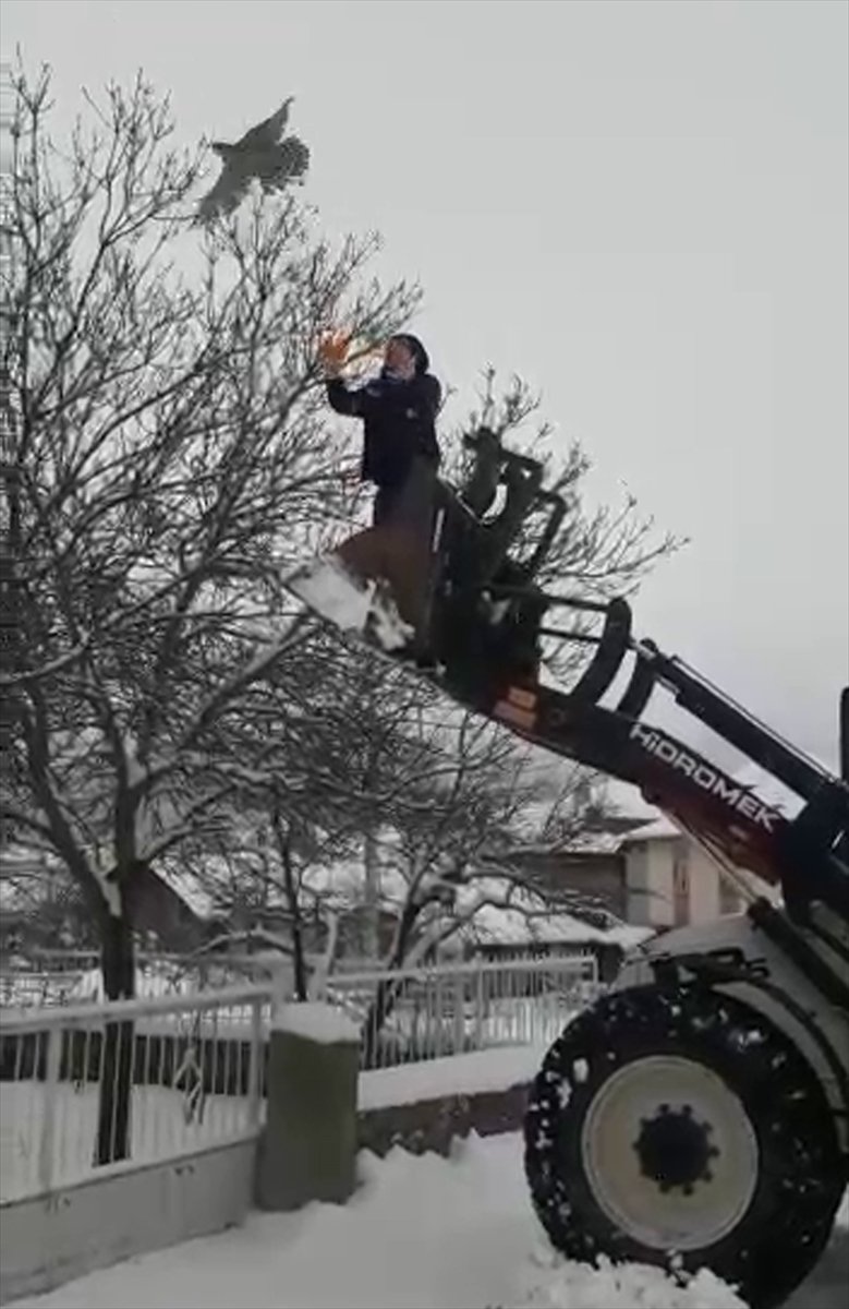 Güdül'de Ağaçta Mahsur Kalan Kuşu Belediye Ekipleri Kurtardı