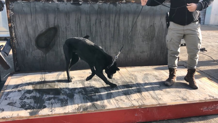 Mersin'de Kömür Kazanına 200 Bin Uyuşturucu Hap Gizleyen 3 Zanlı Tutuklandı