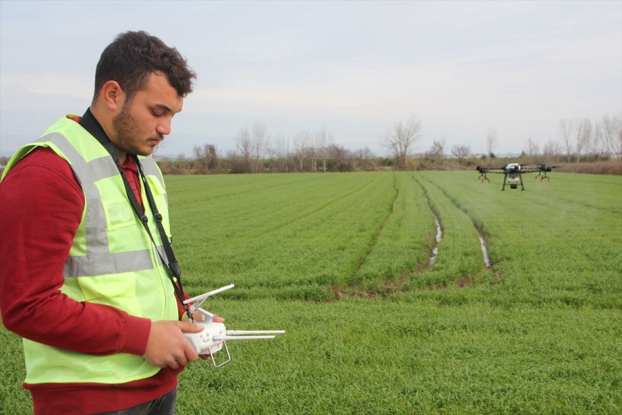 Antalya'da Bir Üretici Üzerinde 10 Litrelik Depo Bulunan Droneyi Zirai İlaçlamada Kullanıyor