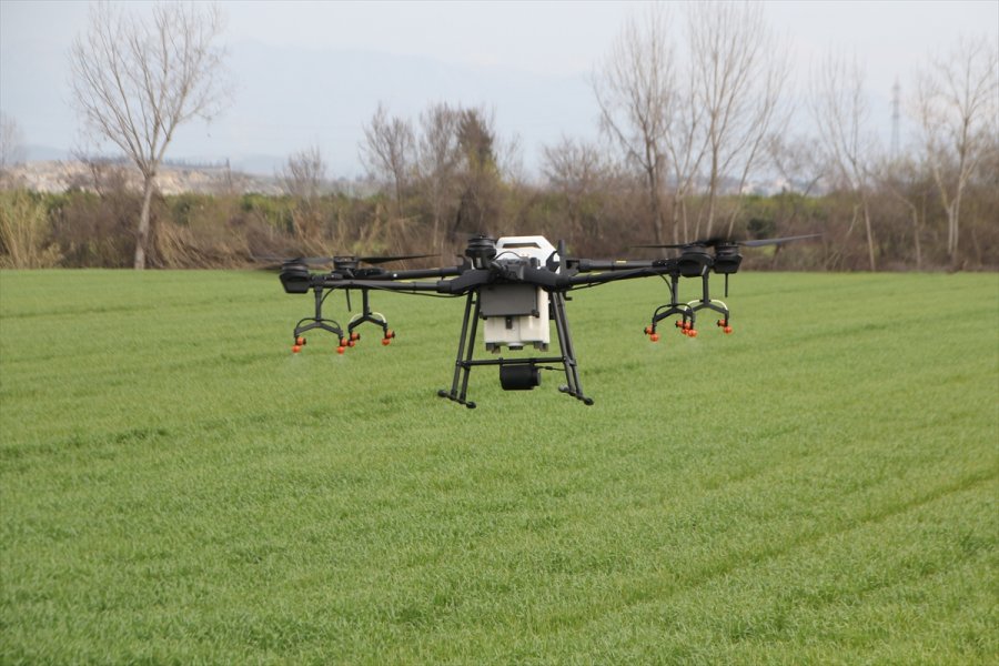 Antalya'da Bir Üretici Üzerinde 10 Litrelik Depo Bulunan Droneyi Zirai İlaçlamada Kullanıyor