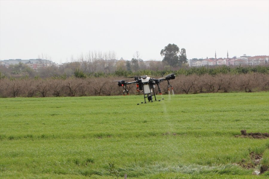 Antalya'da Bir Üretici Üzerinde 10 Litrelik Depo Bulunan Droneyi Zirai İlaçlamada Kullanıyor