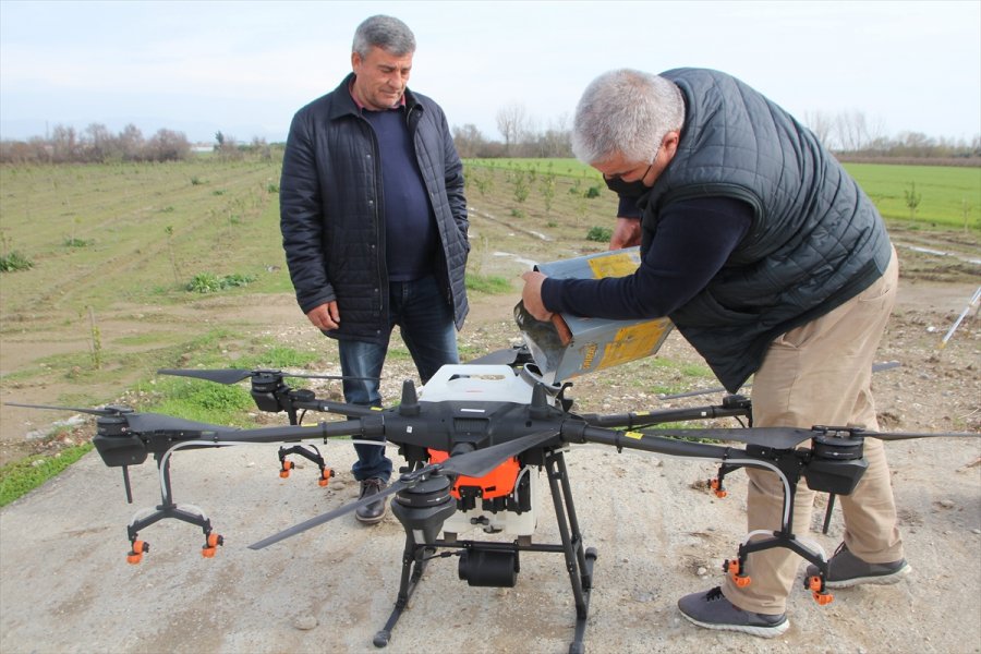 Antalya'da Bir Üretici Üzerinde 10 Litrelik Depo Bulunan Droneyi Zirai İlaçlamada Kullanıyor