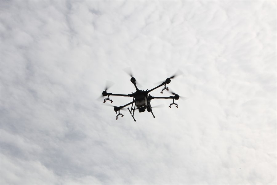 Antalya'da Bir Üretici Üzerinde 10 Litrelik Depo Bulunan Droneyi Zirai İlaçlamada Kullanıyor