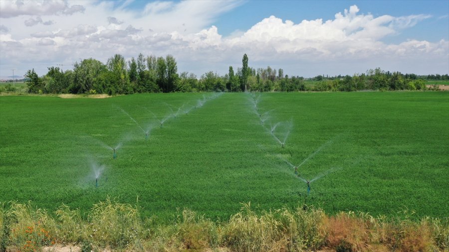 Dsi'den Aksaray'a 18 Yılda 466 Milyon Liralık Yatırım