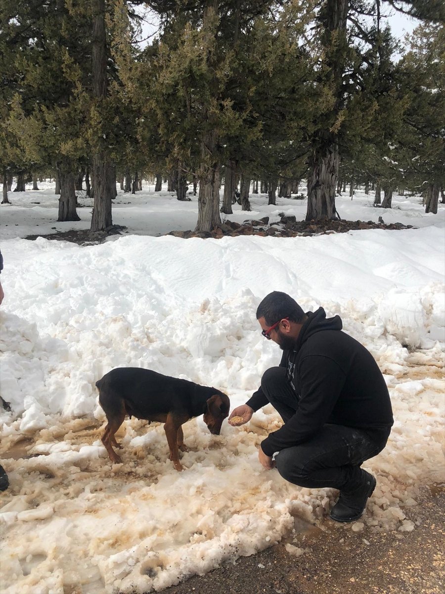Mersin'de Off-road Sporcuları Yaban Hayvanları İçin Karla Kaplı Alanlara Yem Bıraktı