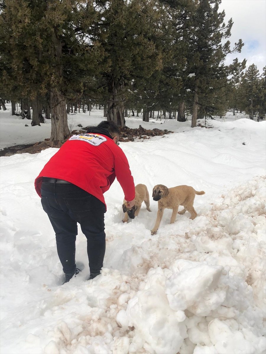 Mersin'de Off-road Sporcuları Yaban Hayvanları İçin Karla Kaplı Alanlara Yem Bıraktı