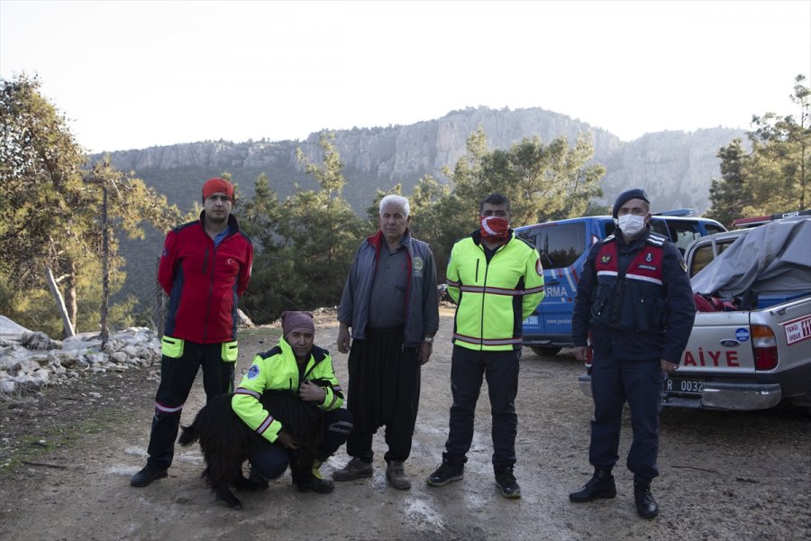 Mersin'de Uçurumda Bir Hafta Mahsur Kalan Keçi Kurtarıldı
