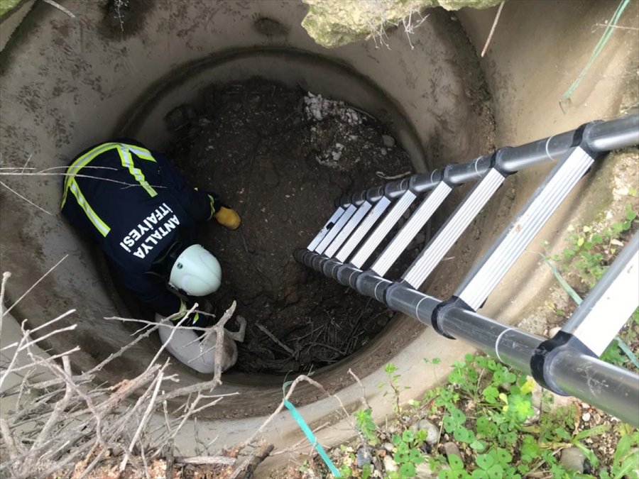 Antalya'da Kuyuya Düşen Köpeği İtfaiye Ekipleri Kurtardı