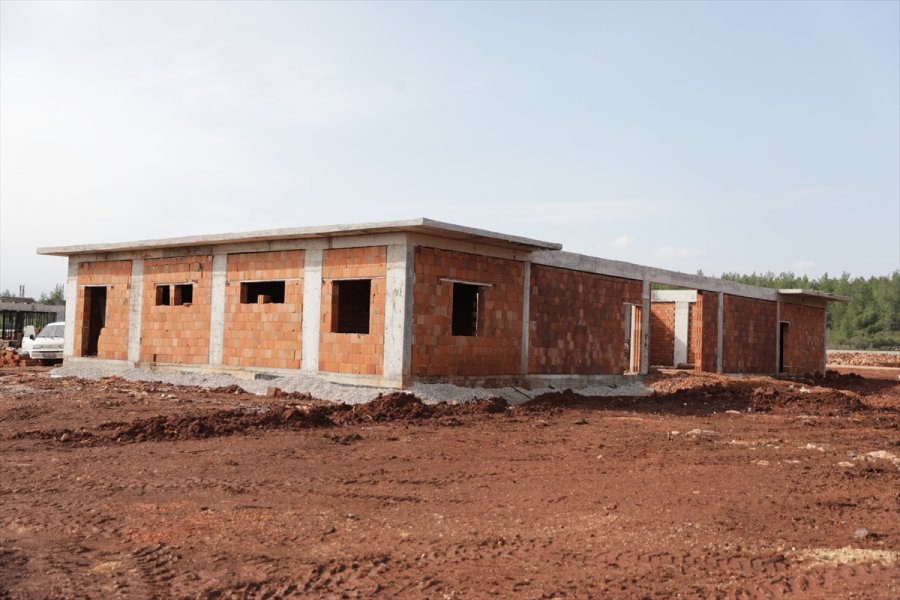 Antalya'da Sokak Hayvanları Bakım Evi Yapılıyor