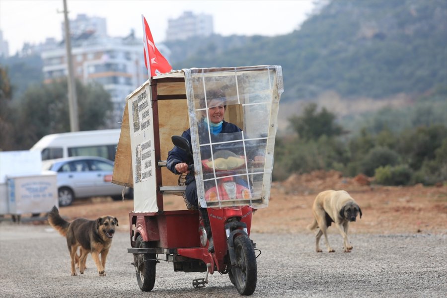 Sokak Hayvanlarının 