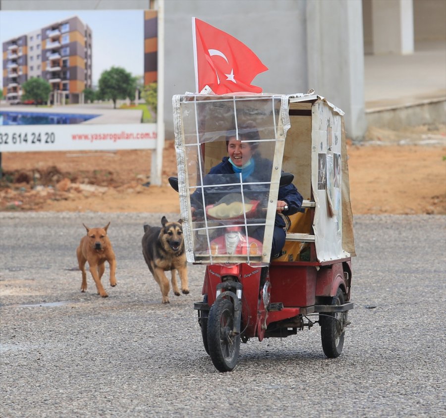 Sokak Hayvanlarının 