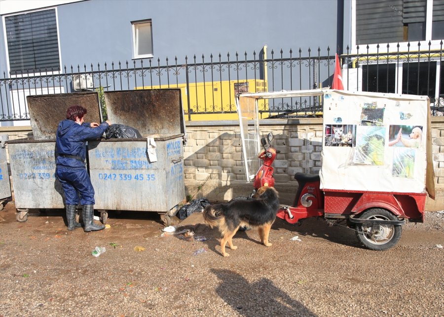 Sokak Hayvanlarının 