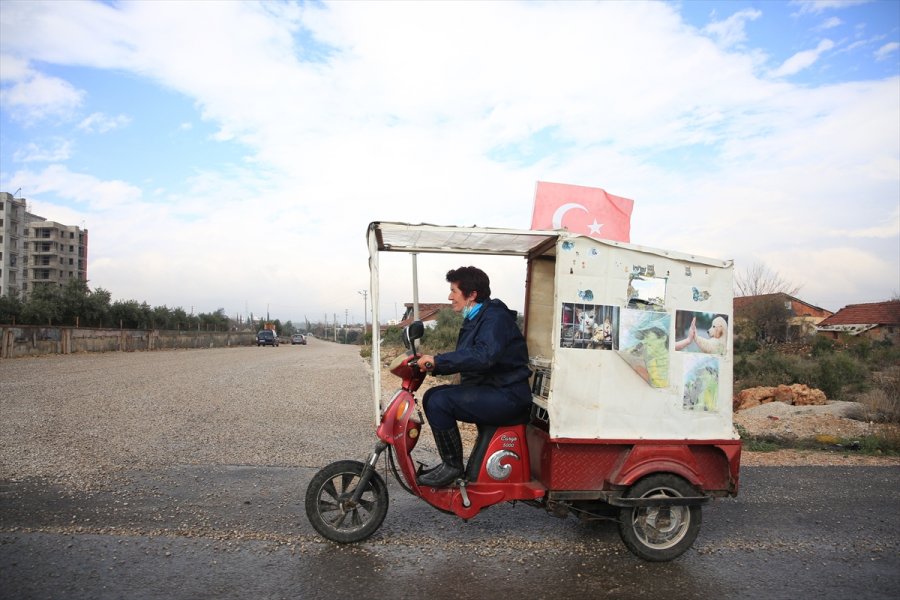 Sokak Hayvanlarının 