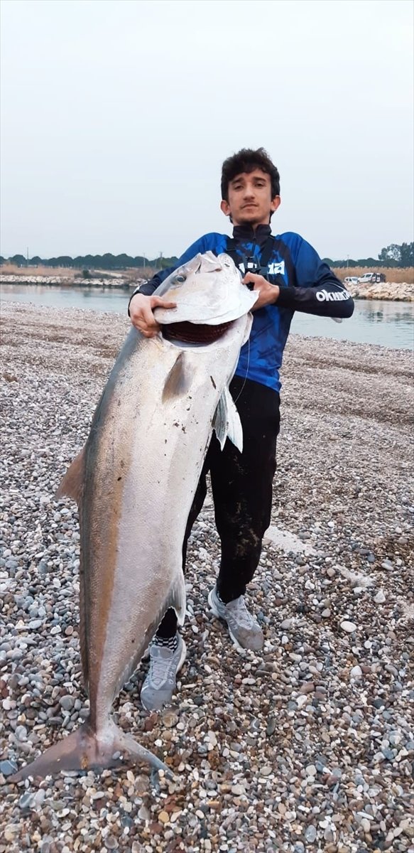 Antalya'da Lise Öğrencisinin Oltayla Kıyıdan Tuttuğu 42 Kilogramlık Balık Şaşırttı