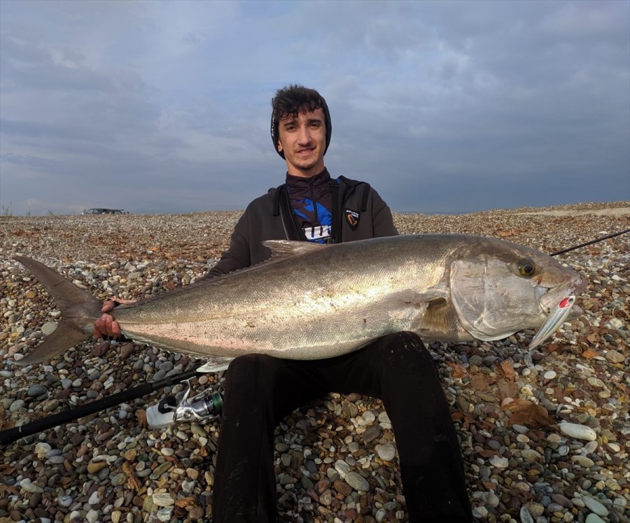 Antalya'da Lise Öğrencisinin Oltayla Kıyıdan Tuttuğu 42 Kilogramlık Balık Şaşırttı