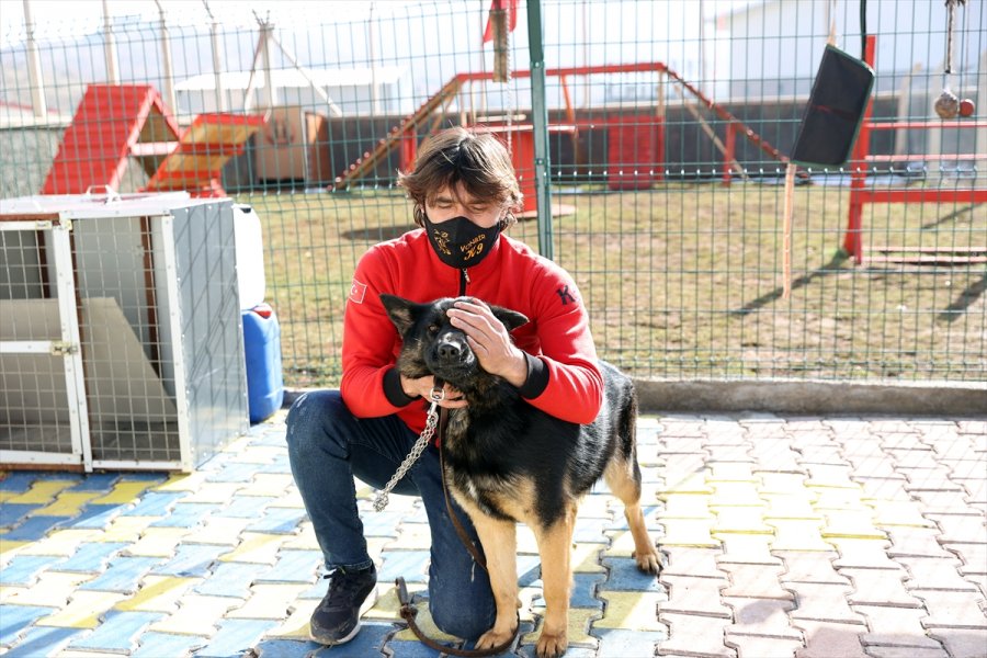 Duyarlı Köpek Eğitmeni, Afetlerde Görev Yapacak