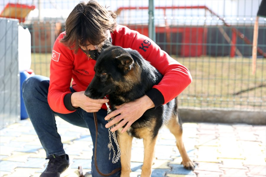 Duyarlı Köpek Eğitmeni, Afetlerde Görev Yapacak
