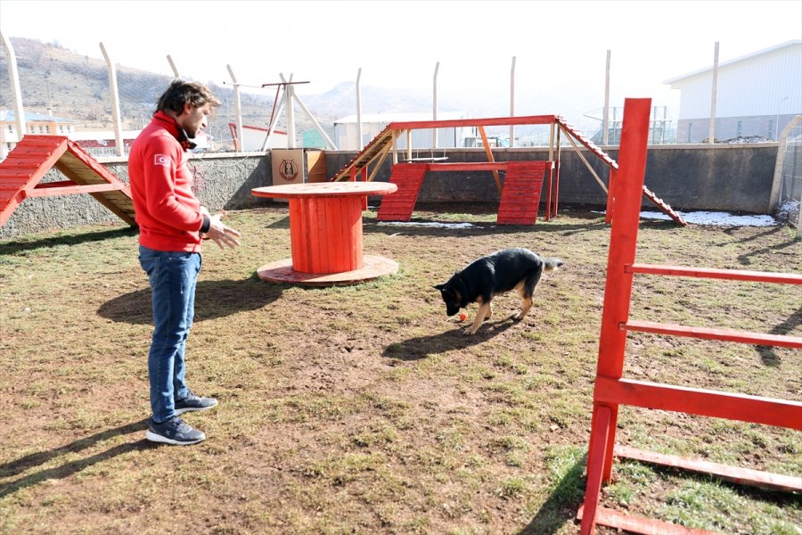 Duyarlı Köpek Eğitmeni, Afetlerde Görev Yapacak