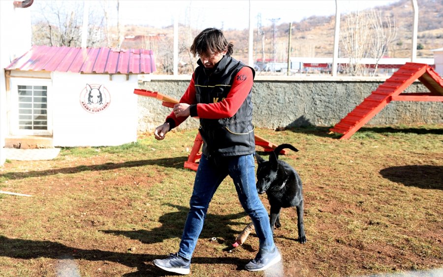 Duyarlı Köpek Eğitmeni, Afetlerde Görev Yapacak