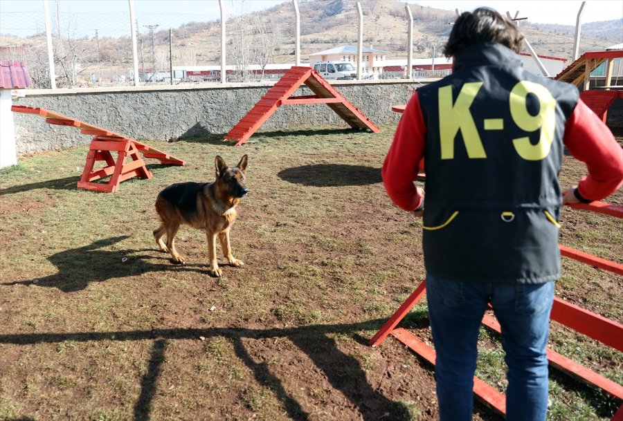 Duyarlı Köpek Eğitmeni, Afetlerde Görev Yapacak