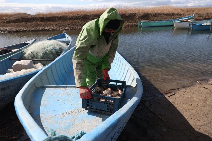 Tatlı Su Balıkçılarının Kış Şartlarındaki Zorlu Mesaisi