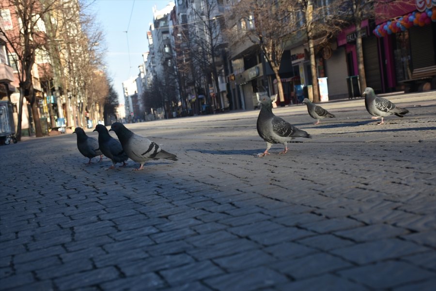 Eskişehir'de Sokağa Çıkma Kısıtlamasına Uyuluyor