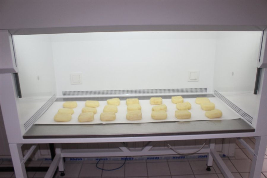 Kaşar Peynirindeki Küflenmeyi Önleyecek Proje Hayata Geçiriliyor