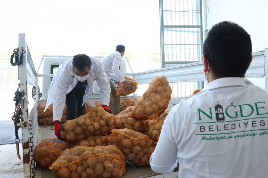 Ak Partili Belediyeler, Çiftçiden Aldıkları Patatesi İhtiyaç Sahiplerine Dağıtacak