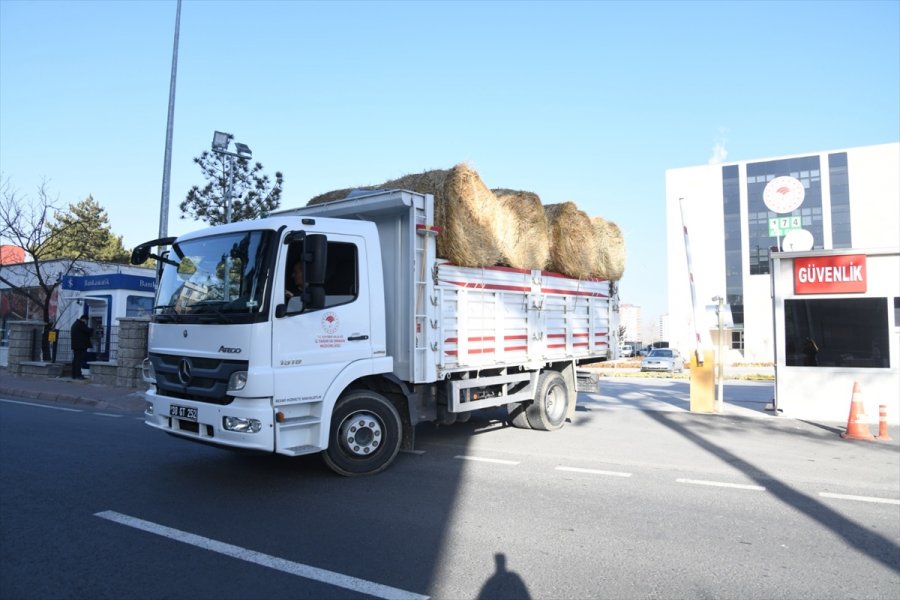 Balyaları Yanan Çiftçiye Devletten 20 Ton Saman