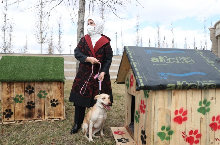 Külliye'deki Atıklar Geri Dönüştürülerek Sokak Hayvanlarına