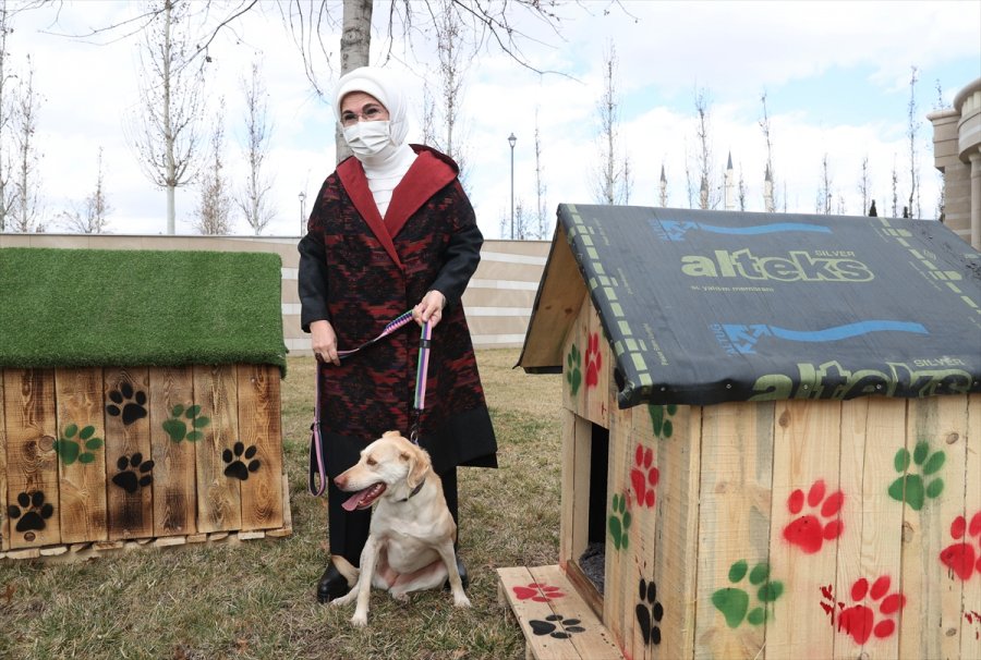 Külliye'deki Atıklar Geri Dönüştürülerek Sokak Hayvanlarına