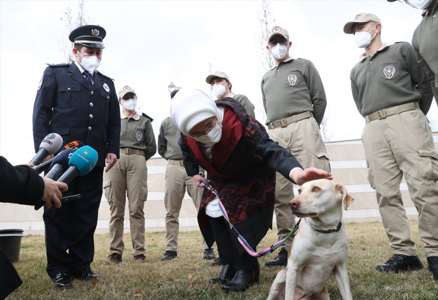 Külliye'deki Atıklar Geri Dönüştürülerek Sokak Hayvanlarına