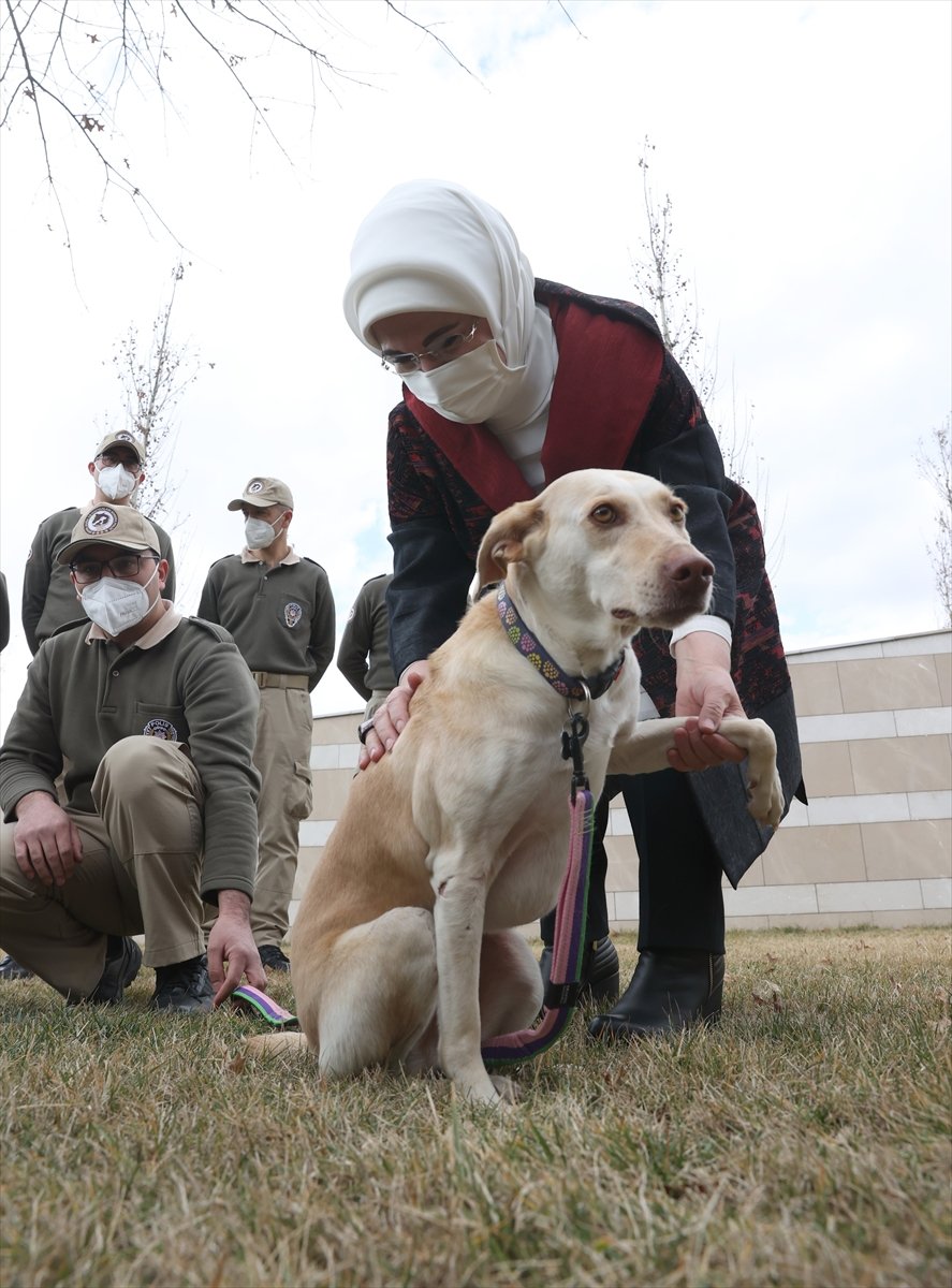 Külliye'deki Atıklar Geri Dönüştürülerek Sokak Hayvanlarına