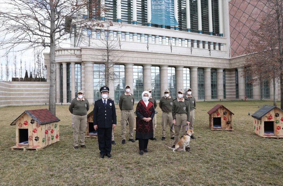 Külliye'deki Atıklar Geri Dönüştürülerek Sokak Hayvanlarına