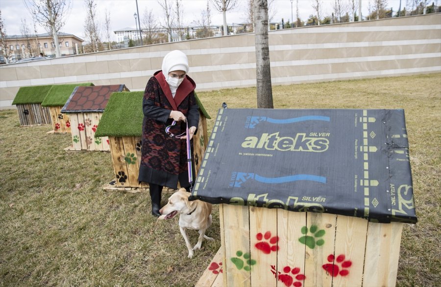 Külliye'deki Atıklar Geri Dönüştürülerek Sokak Hayvanlarına