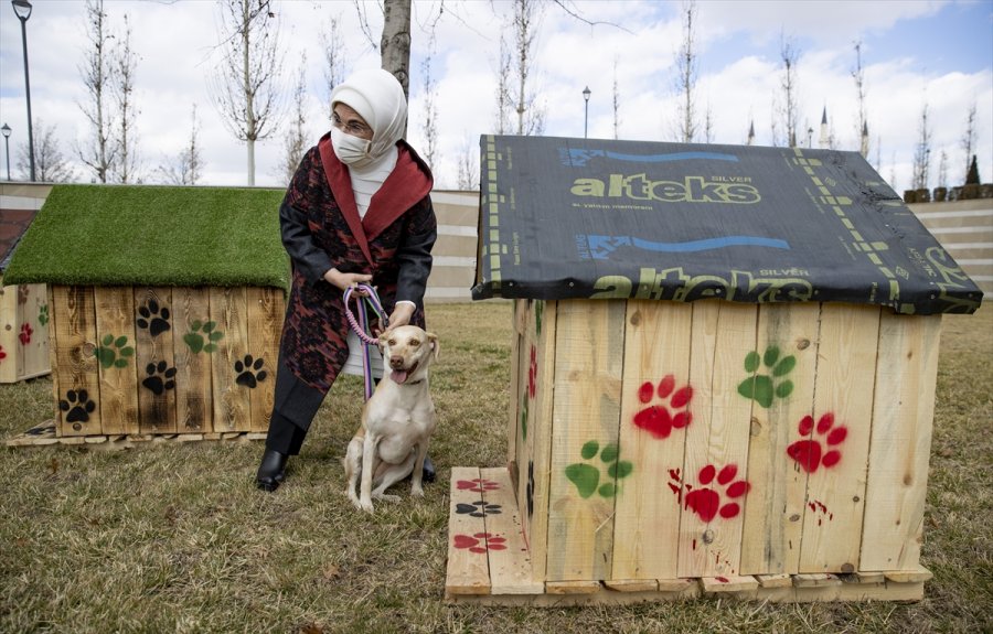 Külliye'deki Atıklar Geri Dönüştürülerek Sokak Hayvanlarına