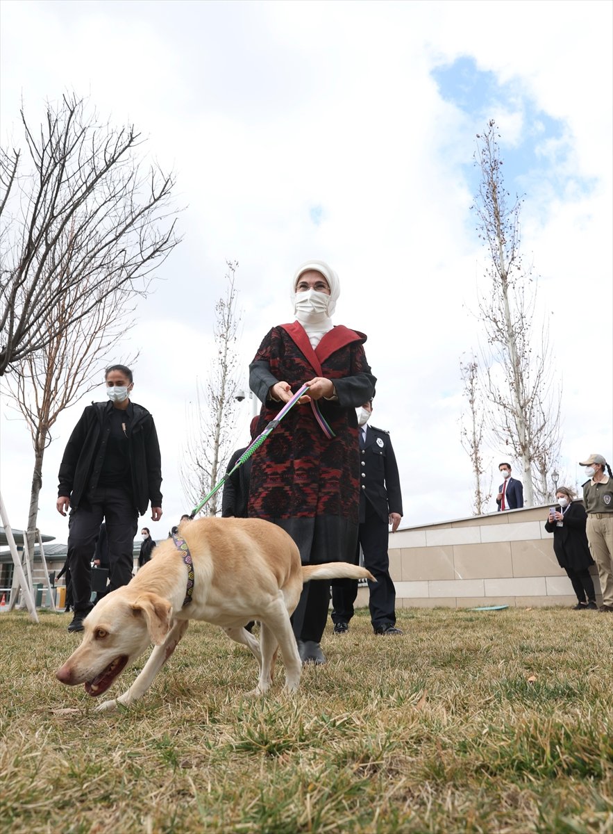 Külliye'deki Atıklar Geri Dönüştürülerek Sokak Hayvanlarına