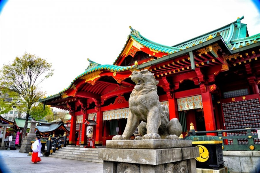 Hıs Travel’ın Canlı Turları İle Japonya'yı Gezmek Mümkün Oluyor