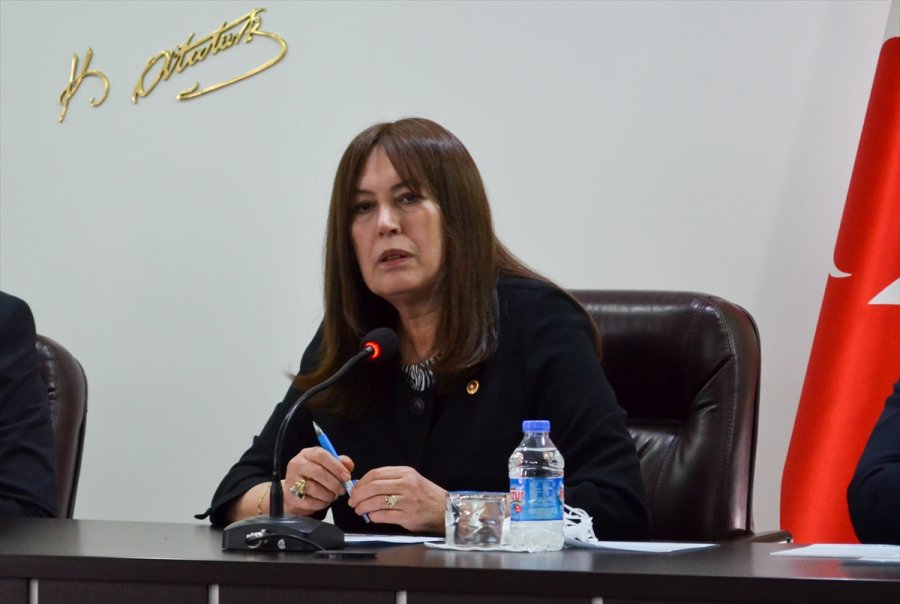 İyi Partili Şenol Sunat: 