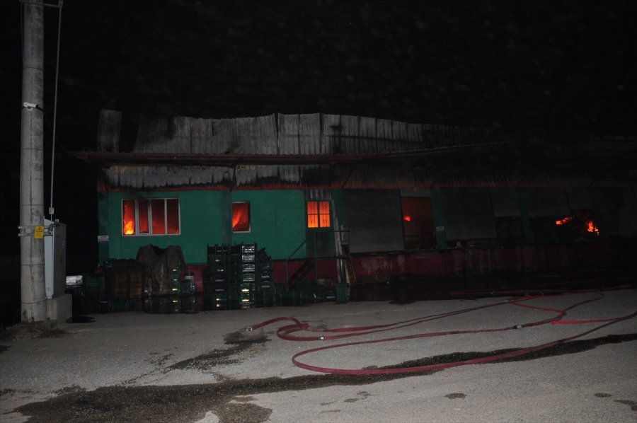 Antalya'da Sebze Meyve Deposunda Çıkan Yangın Söndürüldü