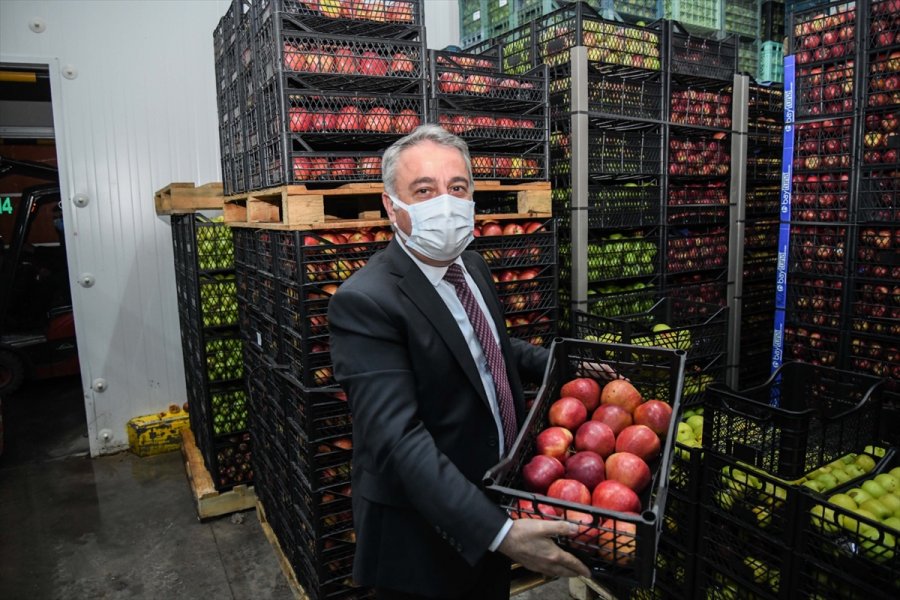 Elma Üretiminin Yüzde 6,7'si Kayseri'den Karşılanıyor