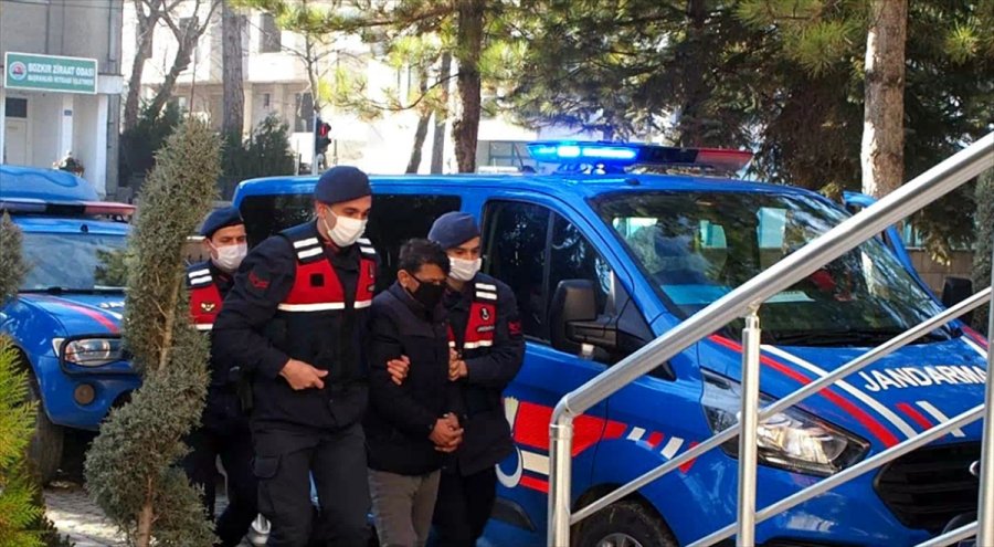 Konya'da 6 Büyükbaş Hayvanı Çaldığı İleri Sürülen 4 Şüpheli Yakalandı