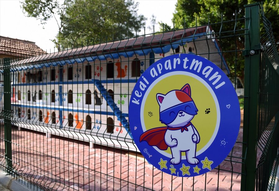 Antalya'da 3 Katlı, 64 Odalı 